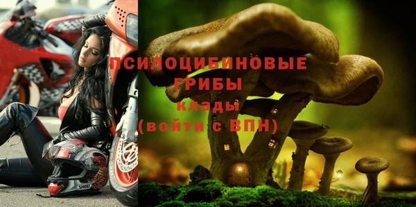 МДМА Богородицк